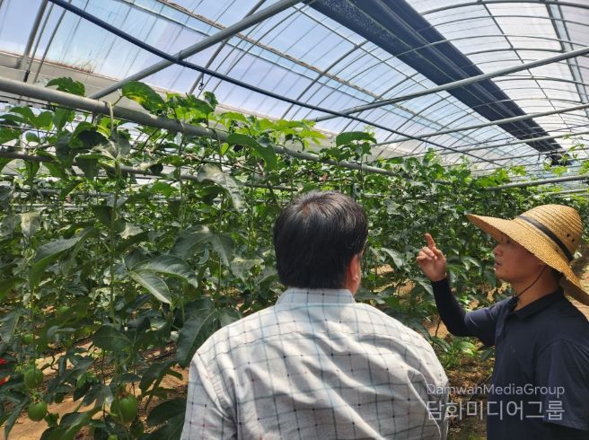 현장컨설팅(백향과)