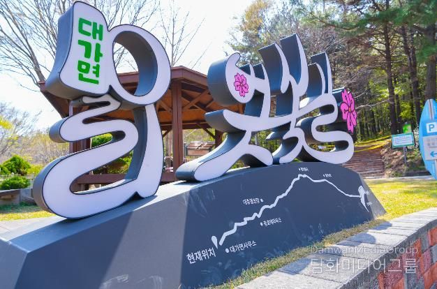 고성군 대가십리벚꽃길, 올해도 경관조명으로 야경 만끽하세요