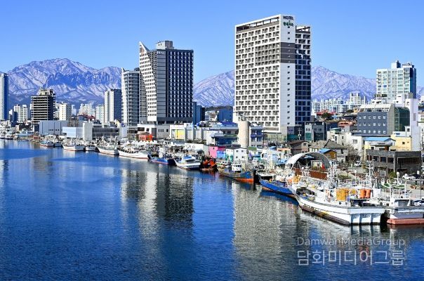 어선 현대화 관련 속초시 관내 항구 전경