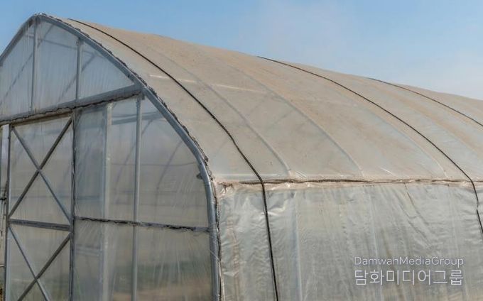 시설하우스 위 미세먼지·황사 사진