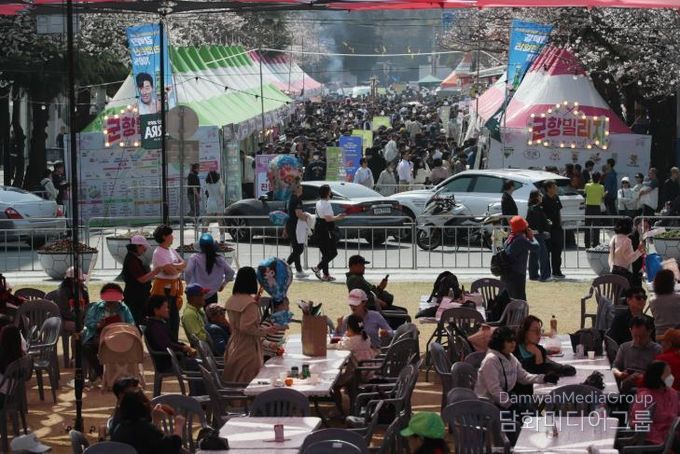 주말 진해군항제, 벚꽃 만개 아래 역대급 인파 기록