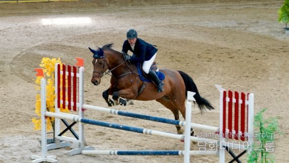 장수군, 제23회 문화체육관광부장관기 전국승마대회 성료