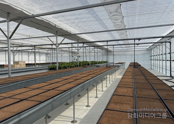 고양시, 고품질 선인장 육성 목적 ‘접목선인장 무병종묘장’ 조성