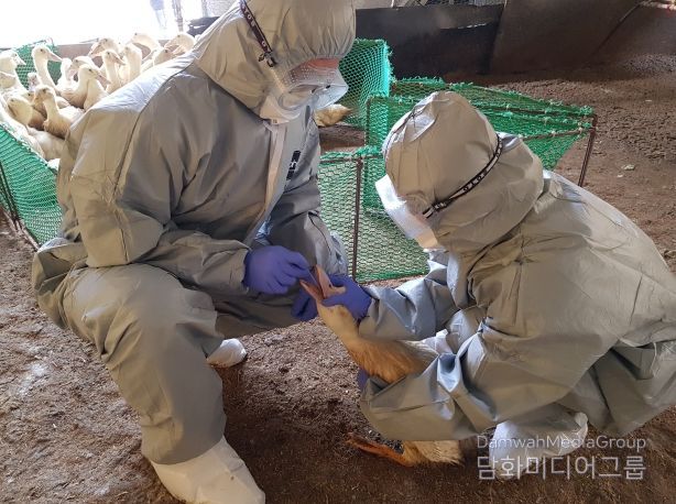 충북도, 퇴직공무원 투입해 재난성가축전염병 대응 강화