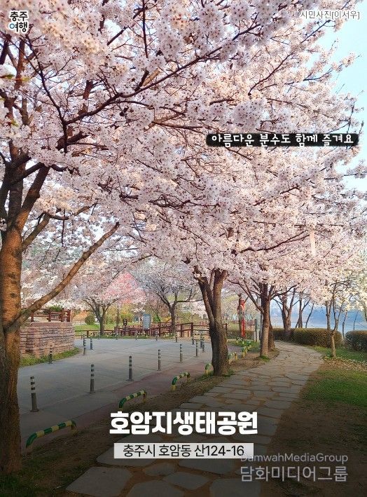 ‘충주 벚꽃 명소’ 홍보물