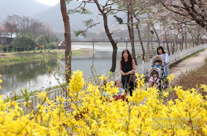 노란 개나리가 만발한 괴산 동진천변 산책로를 따라 가족 단위 나들이객이 산책을 즐기고 있다