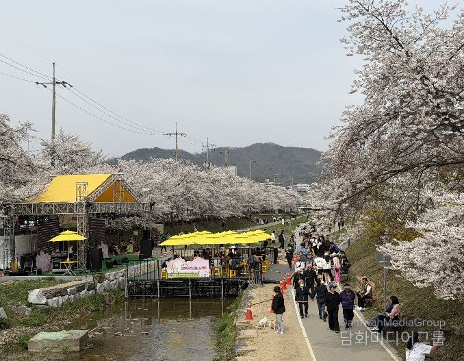 1. 천안문화재단이 원성천 벚꽃길에서 문화가 흐르는 산책로를 운영하고 있다.