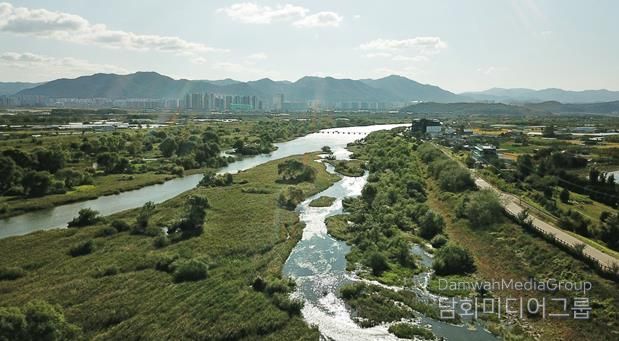 대구 동구청은 기후위기를 살아갈 미래 세대를 위해 안심습지에서 탄소중립 생태체험 학습을 운영한다. 안심습지 전경사진