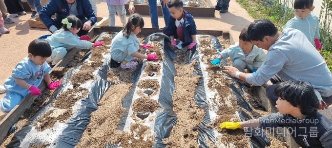 영덕군농업기술센터 ‘제2회 어린이 농부학교’에 참여한 어린이들이 감자를 파종하고 있다.