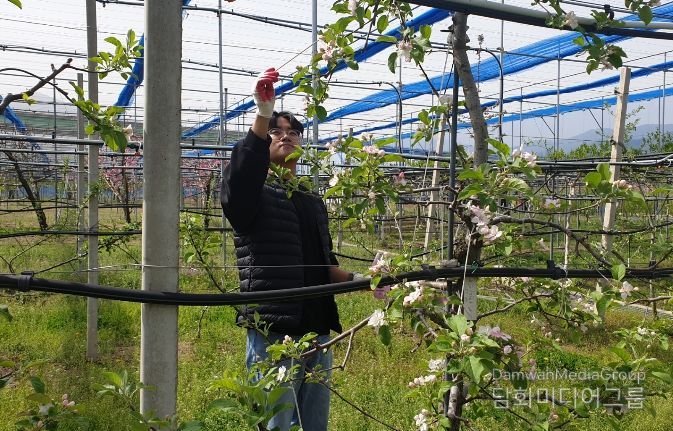 원주시농업기술센터, 과수 인공수분 ‘꽃가루 은행’ 운영