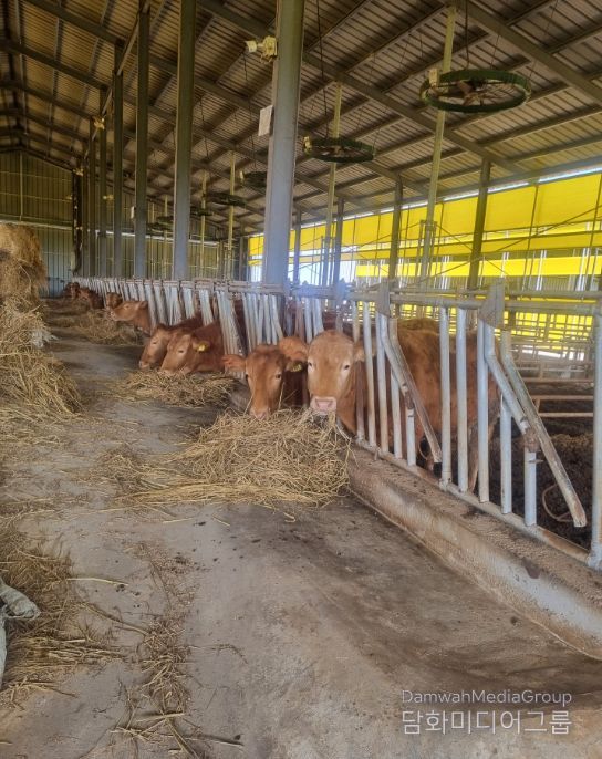 축산농가 사료구매 융자금 1천200억 지원