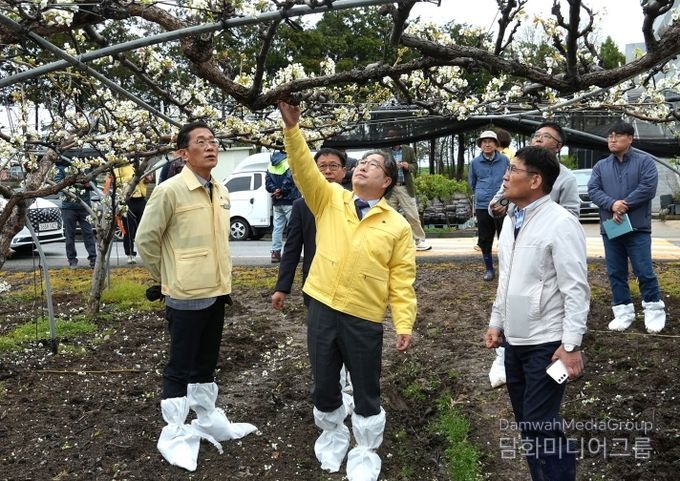 강상구 나주시장 권한대행(가운데)이 지난 6일 우박 피해를 본 노안면의 배 농가를 방문해 피해 상황을 확인하고 농민들의 애로를 청취했다.(사진 제공-나주시)