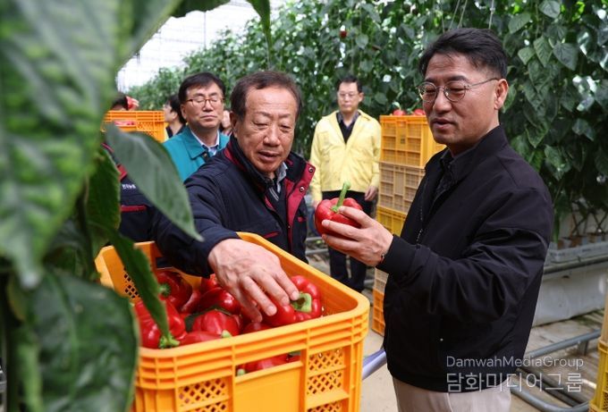 파프리카 시설원예 농가 방문