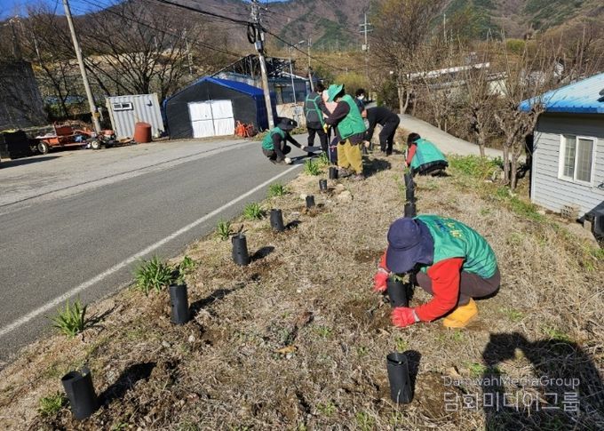 밀양시새마을회와 산내면 동명마을 주민들이 탄소중립 실천을 위해 묘목을 심고 있다