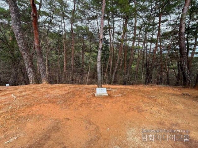 영월 장릉 정령송 주변 들꽃 식재 예정 공간