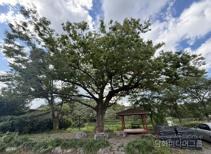 화순군 관내 보호수