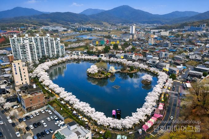 2026 연화지 벚꽃축제