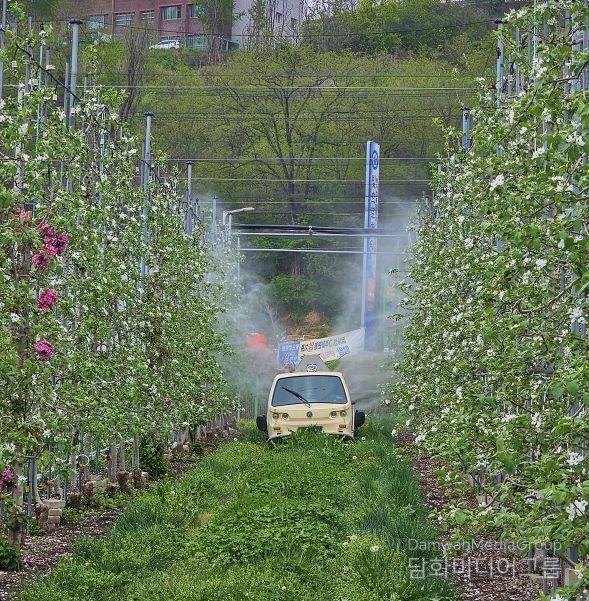 안동시, 과수화상병 ‘개화기 적기 방제’ 총력