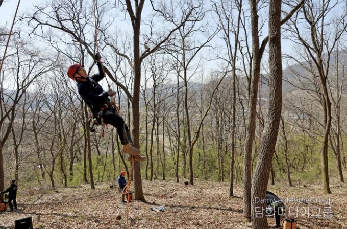 교육생 김강우 씨가 로프와 장비를 이용해 나무에 오르는 모습