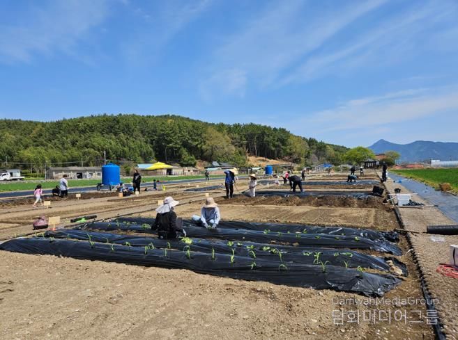 고성군, 주말농장 개장! “농업 체험하며 힐링”