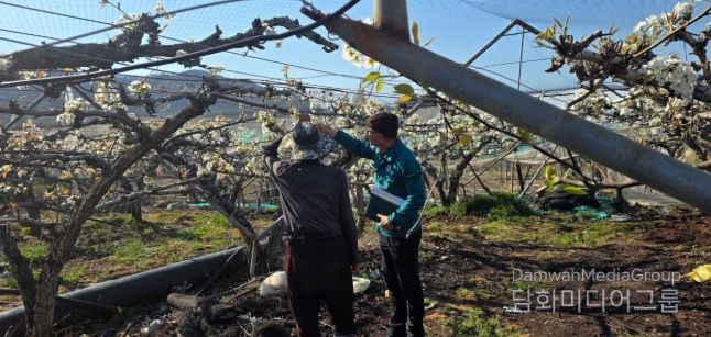 밀양시가 과수화상병 예방을 위해 현장 점검과 예찰 활동을 하고 있다.