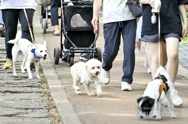 지난해 6월 14일 관내 안산(鞍山) 반려견 산책로에서 열린 ‘반려동물과 함께 걷기 행사’ 모습