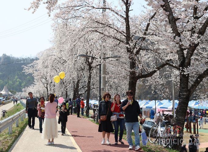 의성군, ‘제4회 남대천 벚꽃축제’