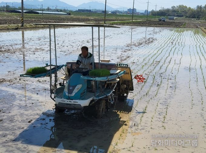 창녕군, 2026년 벼 첫 모내기 실시
