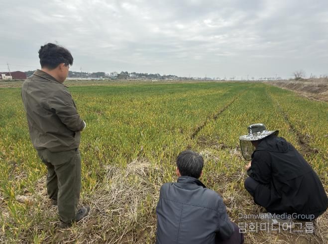 부안군, 보리 출수기 붉은곰팡이병 사전 예방 당부