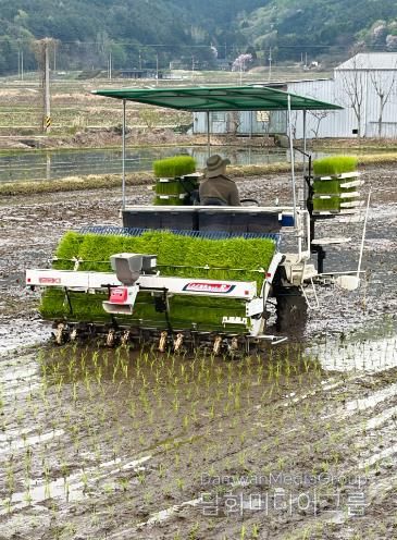 보성군, 올해 첫 ‘웅치 올벼쌀’ 모내기 시작_지난 14일 보성군 웅치면 대산리 박용수 농가에서 2026년산 웅치 올벼쌀 생산을 위한 첫 모내기를 하고 있다